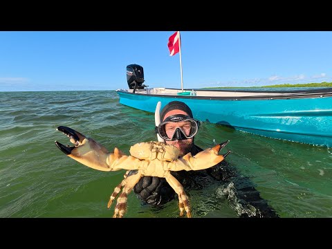 Видео: Открывалка для каменных крабов - Crab Got My Finger - CCC
