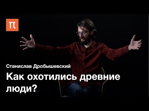 Видео: Охота и собирательство в палеолите — Станислав Дробышевский / ПостНаука