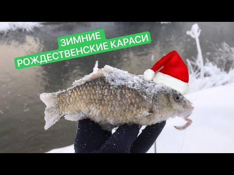 Видео: КАРАСИ В МИНУС 30!!! ЭКСТРЕМАЛЬНАЯ РЫБАЛКА НА ХЕРАБУНУ! Рыбий жир