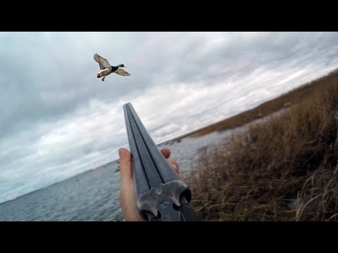 Видео: ЛУЧШИЕ ВЫСТРЕЛЫ ГОДА С ОХОТЫ НА УТКУ. Весь сезон за 12 минут