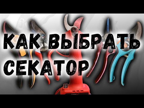 Видео: Как выбрать секатор?