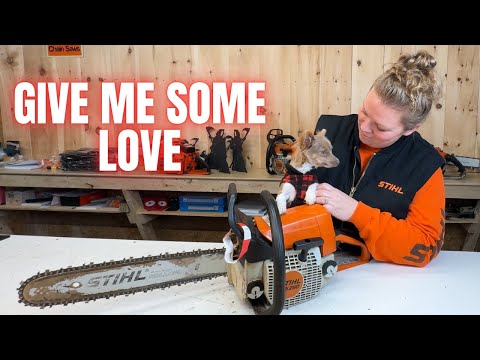 Видео: Работает ужасно | Бензопила Stihl MS250 отчаянно нуждается в помощи