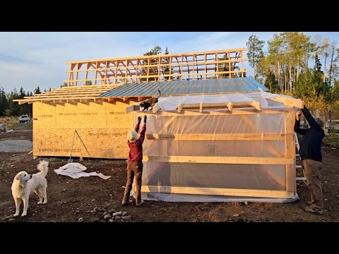 Видео: Зимний курятник в недостроенном сарае | Самостоятельная сборка