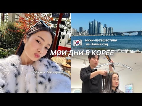 Видео: VLOG : фрагменты из жизни, делаю корейскую стрижку и начинаем 2025 в Пусане