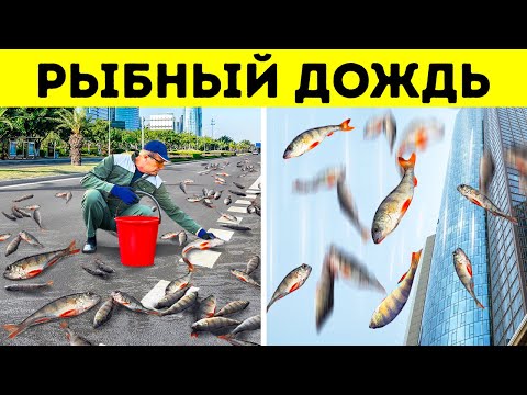 Видео: 30 самых странных природных явлений, в существование которых вы не поверите