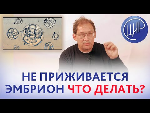 Видео: Не приживается эмбрион. Что делать, если при ЭКО не имплантируются эмбрионы. Отвечает Гузов И.И.