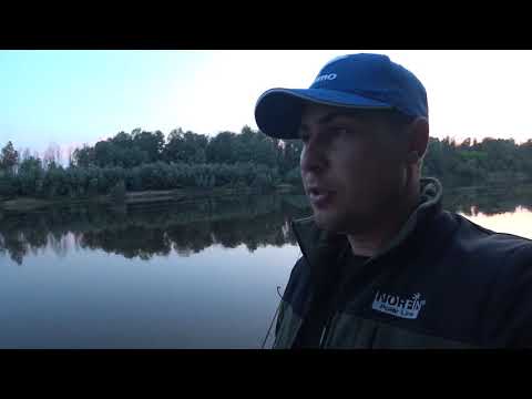 Видео: На Сома с Ночевкой. Ловля на донку