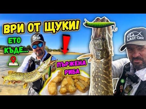 Видео: Язовирът с НАЙ-МНОГО ЩУКИ в България! 🎣 Разбиващ риболов на щука на яз. Сопот + пържена риба