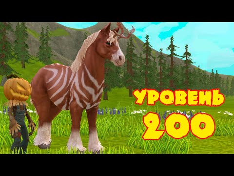 Видео: Качаем лошадь до уровня 200 в WildCraft
