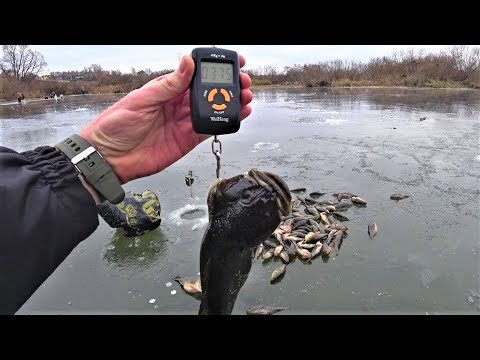 Видео: ЛОВЛЯ РОТАНА ПО ПЕРВОМУ ЛЬДУ