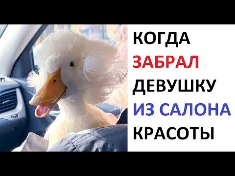 Видео: Лютые приколы. Когда забрал девушку из салона красоты