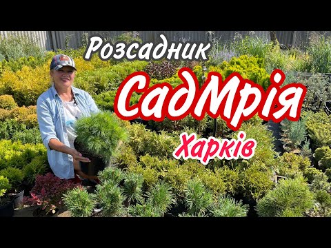 Видео: Розсадник СадМрія Харків. Вибір за вами.