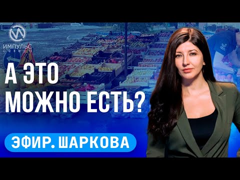 Видео: Эфир. Незаконная торговля. Слежка и погоня. Ямальские моржи.