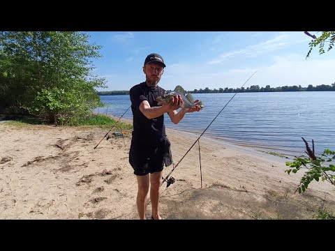 Видео: Судак на хвосты и живца/Ловля на донки с берега/Виддеоотчет Июнь 2023