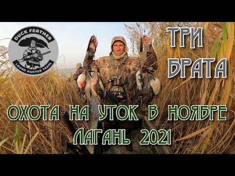 Видео: Утки-Море-Три ствола. Охота на утку в ноябре. Лагань.