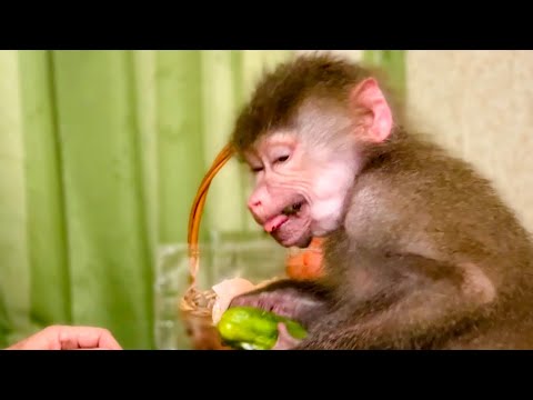 Видео: Люська ИСКУПАЛАСЬ и стала похожа на Анжелу Девис! Люська жалуется что ее НЕ КОРМЯТ!