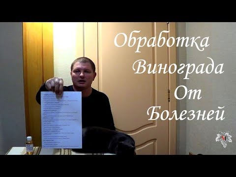 Видео: Схема ОБРАБОТКИ ВИНОГРАДА от болезней