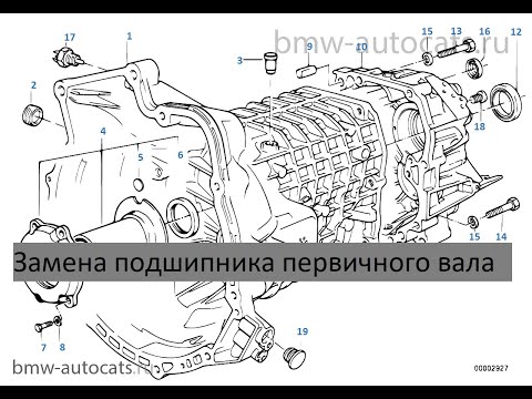 Видео: Замена подшипника первичного вала Getrag 260 #Коробкавирус часть 1