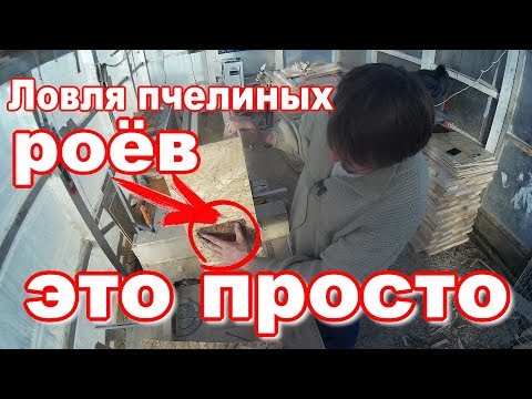 Видео: Ловушка для пчел с приманкой//Размеры,чертежи,сборка