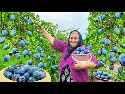 Видео: Собираем много свежего фейхоа и готовим варенье и напиток на зиму!