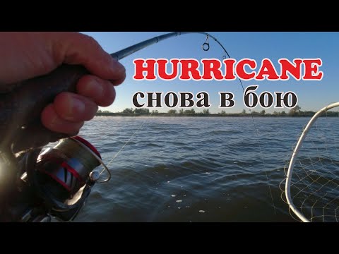 Видео: Тейл Спиннер и в этом пруду поймал ЩУКУ. Безотказная приманка HURRICANE