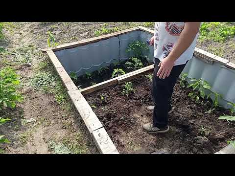 Видео: Кролики 82 ...