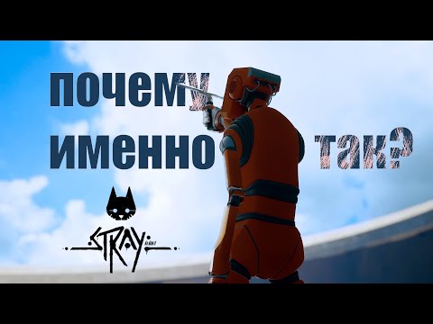 Видео: Сложные вопросы | Stray