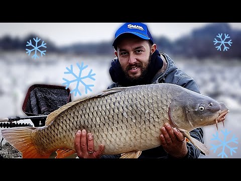 Видео: КАК ДА ЛОВИМ ШАРАНИ ПРЕЗ ЗИМАТА! ЗАКАЧИХ ОГРОМЕН ШАРАН! WINTER Carp on fееder