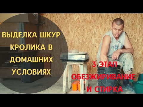 Видео: Третий этап  выделки шкур - обезжиривание.