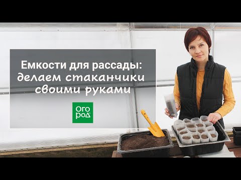 Видео: Как сделать емкости для рассады самому: быстро и дешево