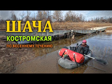Видео: СПЛАВ ПО РЕКЕ ШАЧА СУСАНИНСКАЯ 60 км.  АПРЕЛЬ 2023.
