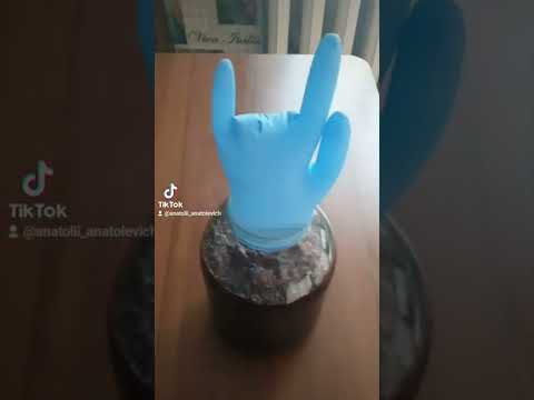 Видео: Домашнее Вино 🍷 из Шелковицы