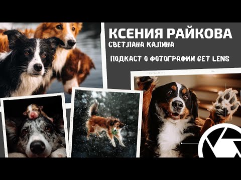 Видео: КАК ФОТОГРАФИРОВАТЬ СОБАК? ФОТОГРАФ АНИМАЛИСТ КСЕНИЯ РАЙКОВА