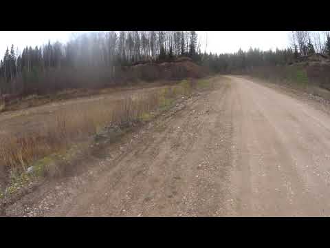 Видео: охота с русской гончей Радой № 5.