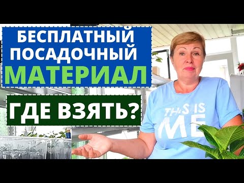 Видео: Как сохранить ЦВЕТЫ на следующий сезон? Семена сильно подорожали