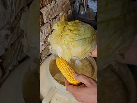 Видео: Как се прави кисело зеле?