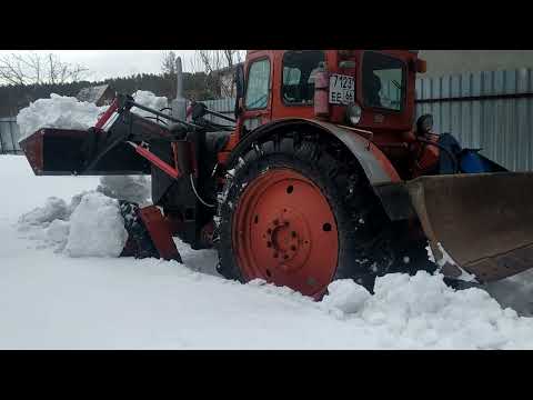 Видео: 18 марта 2023 г.