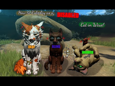 Видео: Как играть за воина-инвалида в WCUE!