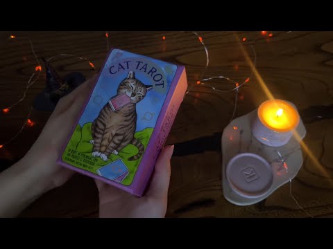 Видео: АСМР Карты Таро с котиками 🐈‍⬛| Близкий шепот | ASMR Cat Tarot🐈‍⬛ | Whisper
