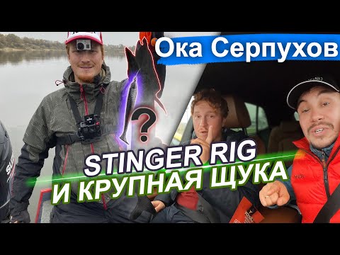 Видео: Постигая Stinger Rig. Крупная и не очень щука на Оке в Серпухове