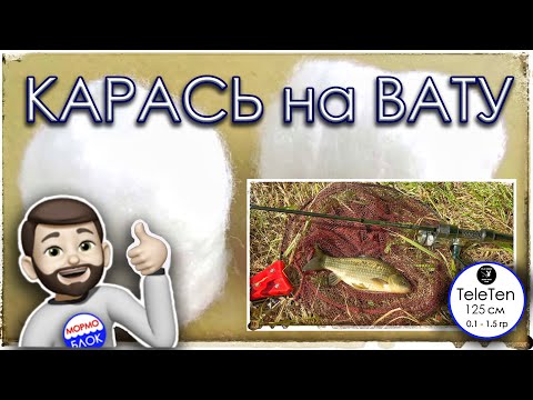 Видео: Карась на Вату. Мормышинг. TeleTen 125