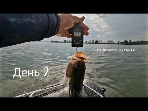 Видео: Два дня отрыва на рыбалке. День второй.