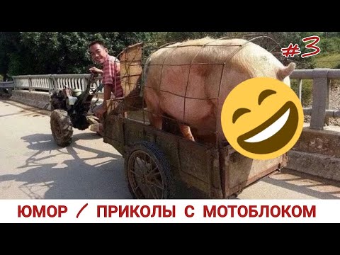 Видео: ЮМОР / ПРИКОЛЫ С МОТОБЛОКАМИ #3 FUNNY VIDEOS, MINI TRACTOR FARMER