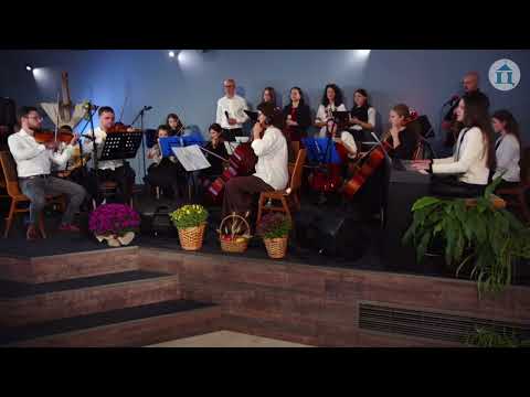 Видео: Колко чудно е всичко навред