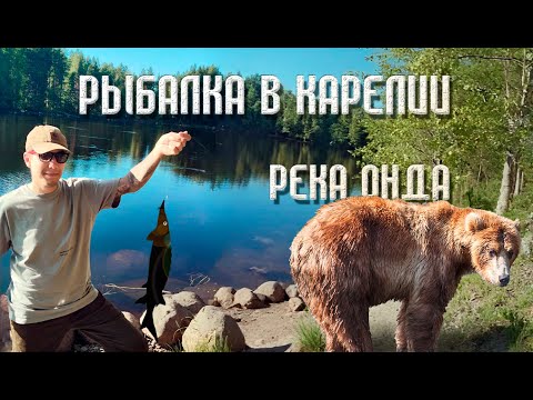 Видео: 🎣 Спиннинг против фидера! Рыбалка на реке Онда (Карелия)