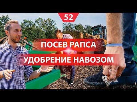 Видео: Посев рапса и всходы. Разбрасывание навоза и запахивание