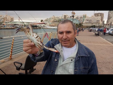 Видео: 46.Израиль.Ашкелон.Крабалка.Часть первая 2017-2019 год