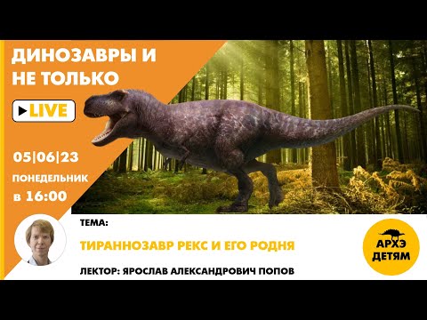 Видео: Занятие "Тираннозавр рекс и его родня" кружка "Динозавры и не только" с Ярославом Поповым