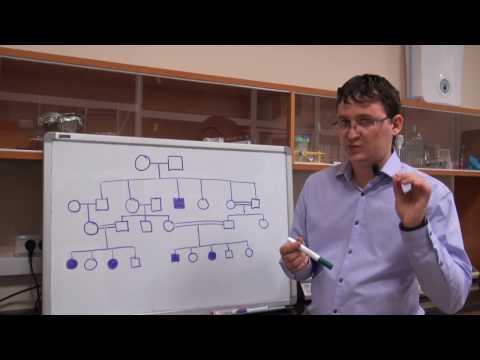 Видео: Анализ родословных. Урок 4. Задача 7.2 (быстрый разбор в конце видео)