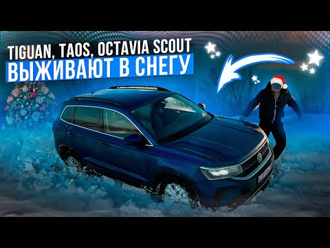 Видео: Skoda Octavia Scout, VW Taos и VW Tiguan выживают в снегу